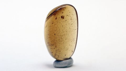 kleine DINO-Feder eines Laufvogels als Einschluss im Burma Bernstein