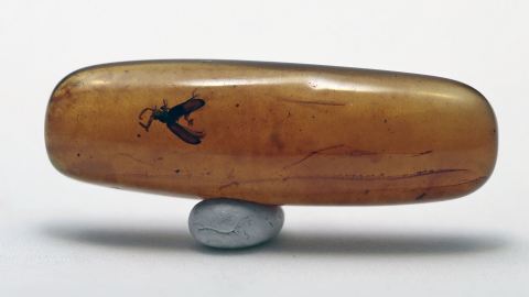 Käfer mit ausgebreiteten Flügeln im Burma Bernstein                       