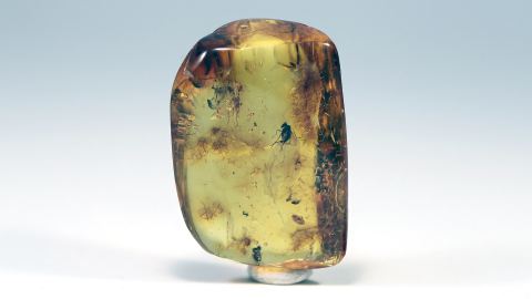 Fliegen als Inklusen