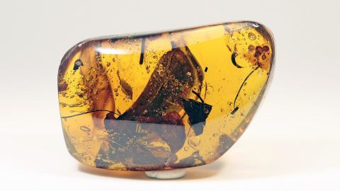 Dominikanischer Bernstein mit Einschlüssen