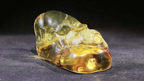 Lotosblume im Bernstein geschnitzt