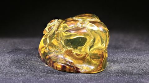 Lotosblume Schnitzerei