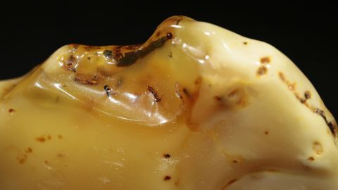 Naturbernstein Butterscotch