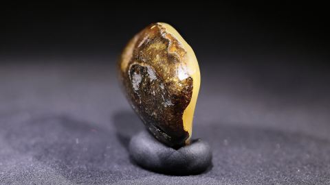 Baltischer Bernstein geschliffen und poliert