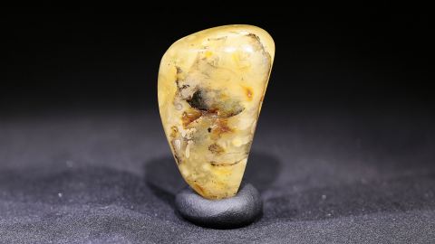 Baltischer Bernstein