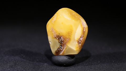 Baltischer Bernstein Butterscotch