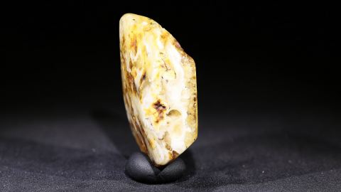 Baltischer Bernstein geschliffen und poliert