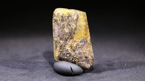 Naturbernstein geschliffen und poliert