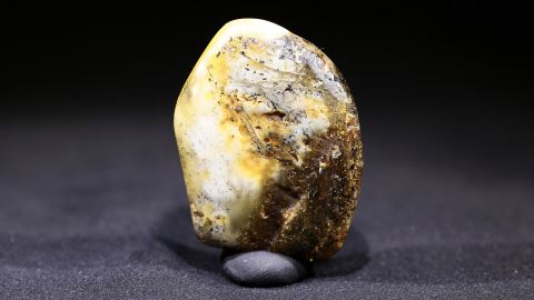 Baltischer Bernstein