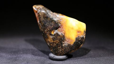 Baltischer Bernstein