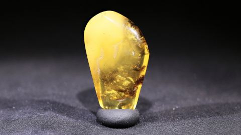 Naturbernstein geschliffen und poliert