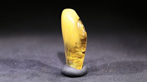 Baltischer Bernstein geschliffen