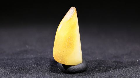 Baltischer Bernstein Butterscotch