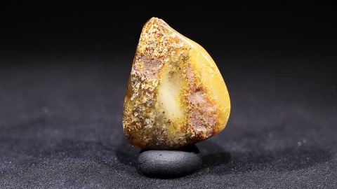 Baltischer Bernstein