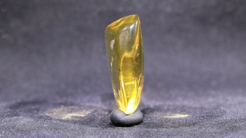 Baltischer Bernstein transparent