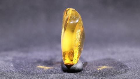 Baltischer Bernstein honiggelb und klar