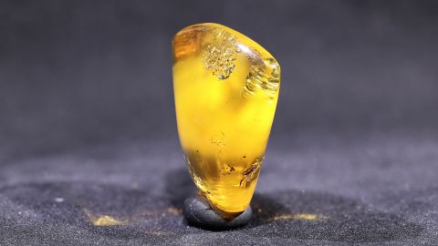 Baltischer Bernstein