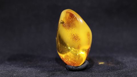 Baltischer Bernstein geschliffen und poliert