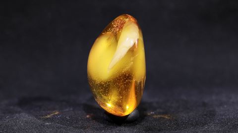 Baltischer Bernstein