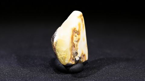 Naturbernstein geschliffen und poliert