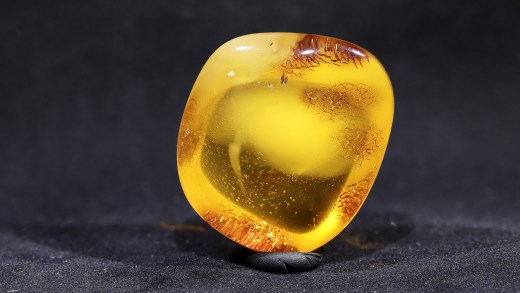 wunderschöner Bernstein