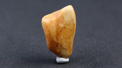 Knochenbernstein, Succinit