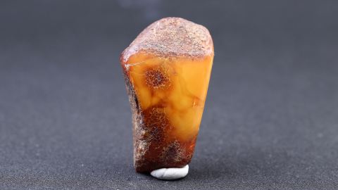 Bitterfelder Bernstein weißlich