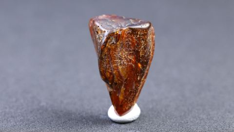 Brackbernstein aus Goitsche Bitterfeld