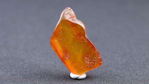 Klarbernstein, Succinit