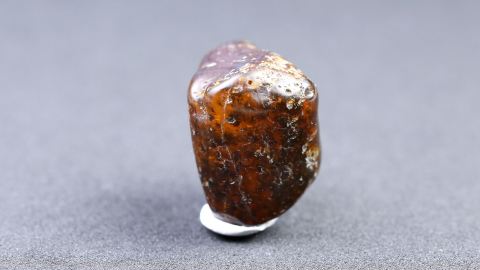 Klarbernstein mit Brack aus Goitsche Bitterfeld