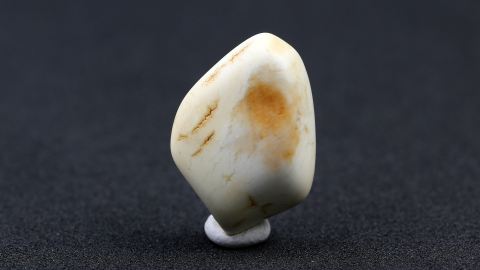 Knochenbernstein aus Bitterfeld