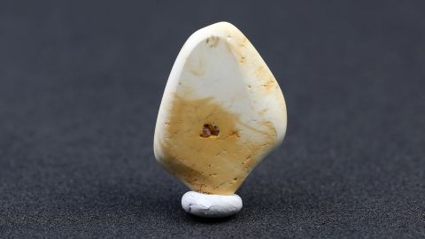 Knochenbernstein aus Goitsche