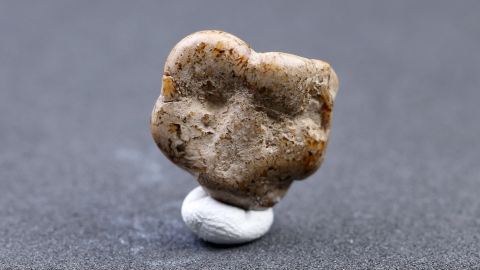 Siegburgit aus Goitsche