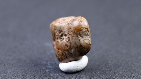 Siegburgit aus Goitsche Bitterfeld