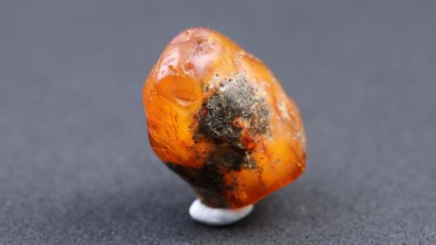 Flohmiger Bernstein aus Goitsche