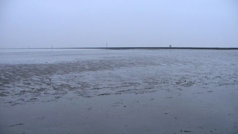 Bernstein suchen in Harlesiel