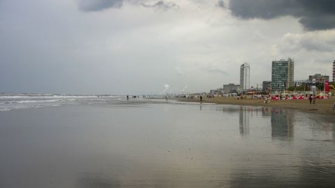 Bernsteinsuche in Wijk aan Zee