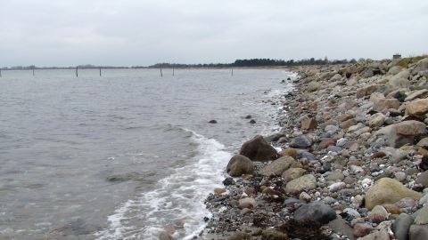 Bernsteinsuche auf der Insel Alsen an der Ostsee, Dänemark
