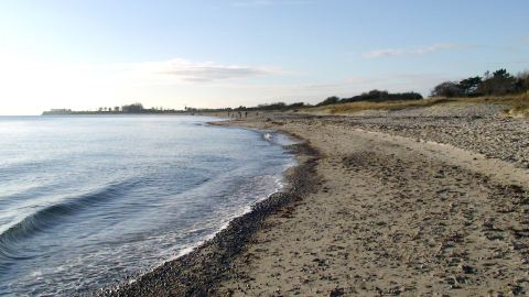 Bernstein suchen an der Ostsee, Dänemark