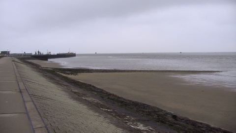 Bernstein suchen an der Nordsee