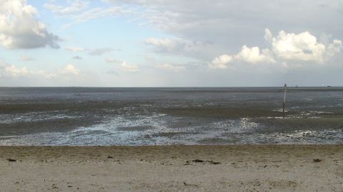 Bernstein suchen an der Nordsee
