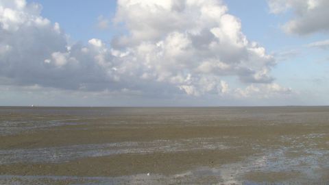 Bernsteinsuche in an der Nordsee