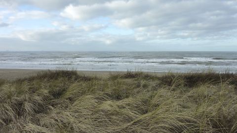 Bernstein suchen in Holland
