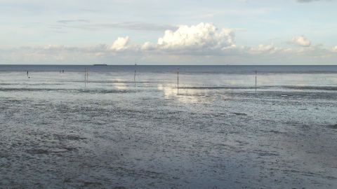 Bernstein suchen in Deutschland