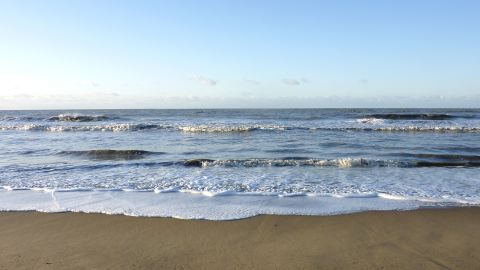 Bernstein suchen an der Nordsee, Niederlande