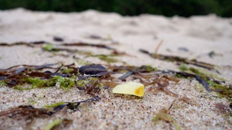 Bernsteinsuche an der Ostsee, Polen
