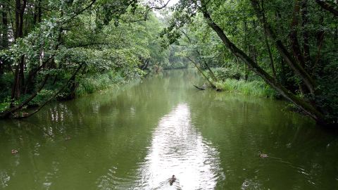Bernsteinsuche zwischen Niechorze und Pogorzelica