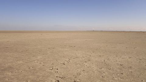Bernsteinsuche in St. Peter-Ording