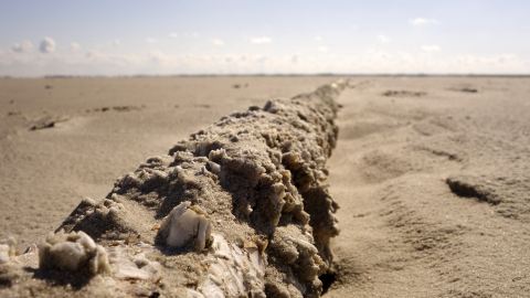 Bernstein finden in St. Peter-Ording an der Nordsee