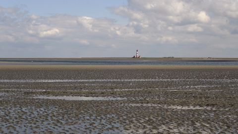 Bernsteinfund in an der Nordsee